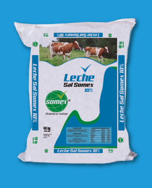 SOMEX LECHE 10%
