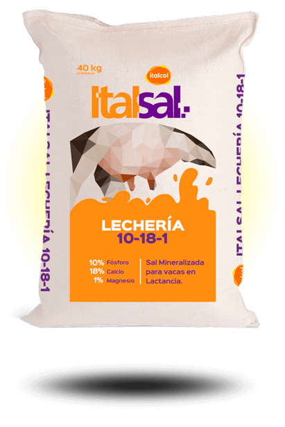 ITALSAL LECHERIA 8%