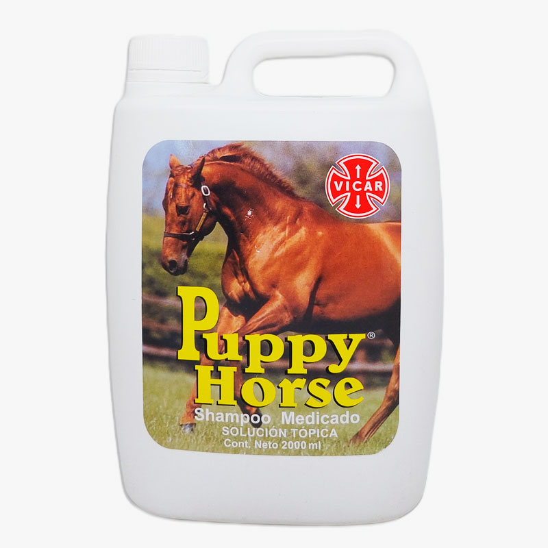 SHAMPOO PUPPY HORSE