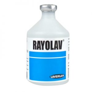 RAYOLAV